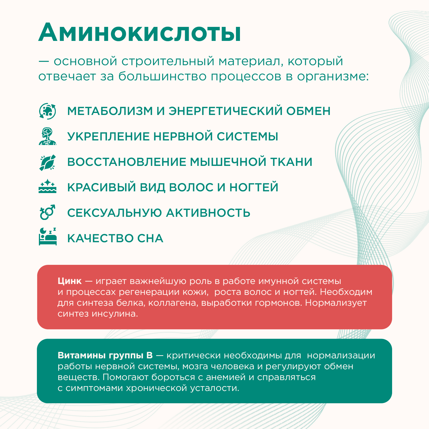 Amino Protein + B complex & Zinc — изображение 3